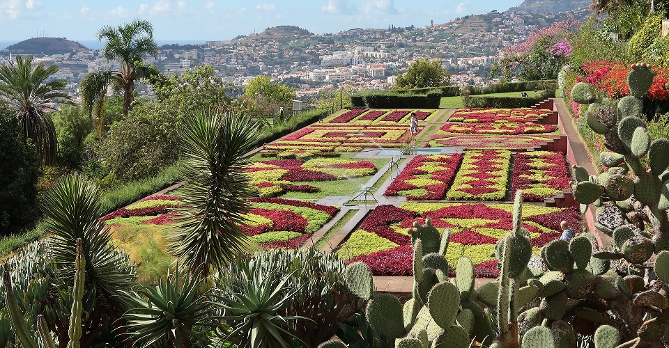 Image Description for http://80.88.88.181:8888/gpsviaggi/gpsviaggi/packages_photos/1003/Funchal-giardino-botanico-2.jpg