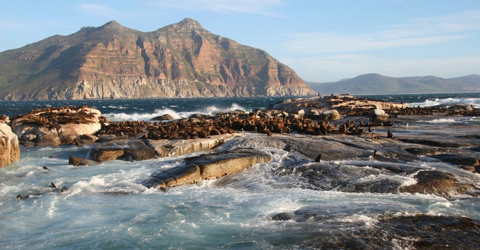 Image Description for http://80.88.88.181:8888/gpsviaggi/gpsviaggi/packages_photos/1154/Duiker-island-1.jpg